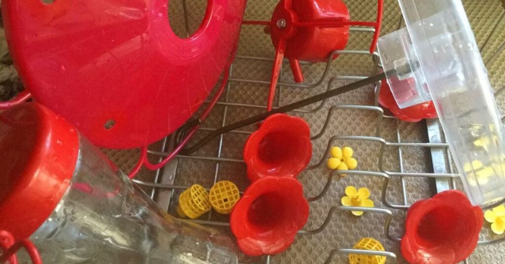 how often to clean hummingbird feeder